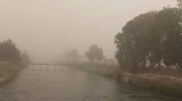 الأقصر تواصل رفع حالة الاستعداد لليوم الثاني لمواجهة موجة الطقس السيئ